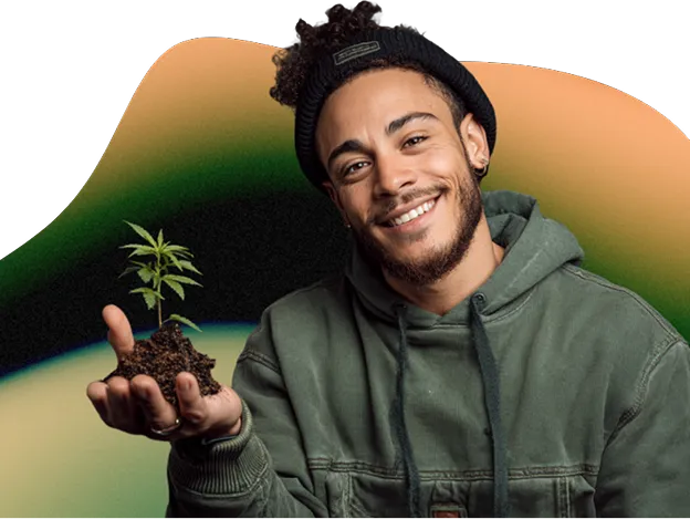 Graines pour débutants