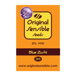 Blue Zushi  | Feminised, Indoor & Outdoor