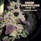 Chem Cornelian| Indoor & Outdoor