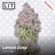 Lemon Zoap | Feminised, Indoor & Outdoor