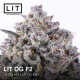 LIT OG| Feminised, Indoor & Outdoor