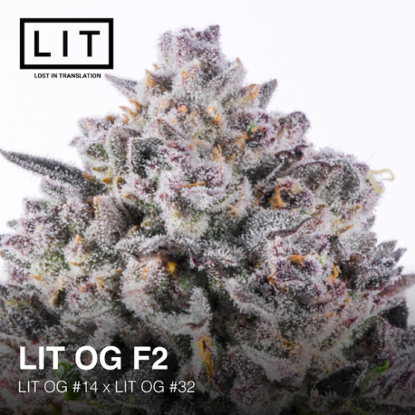 LIT OG | Feminised, Indoor & Outdoor