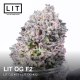 LIT OG| Feminised, Indoor & Outdoor