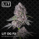 LIT OG| Feminised, Indoor & Outdoor