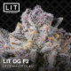 LIT OG| Feminised, Indoor & Outdoor