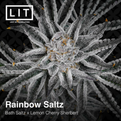 Rainbow Saltz | Feminised, Indoor & Outdoor