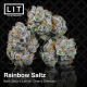 Rainbow Saltz| Feminised, Indoor & Outdoor