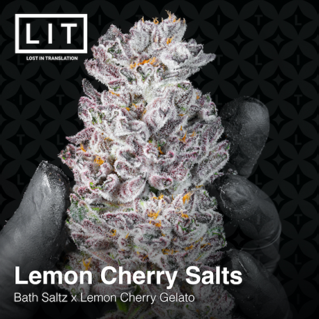 Lemon Cherry Salts| Feminised, Indoor & Outdoor