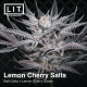 Lemon Cherry Salts| Feminised, Indoor & Outdoor