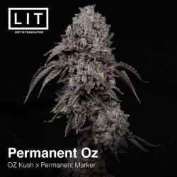 Permanent Oz | Feminised, Indoor & Outdoor