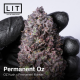 Permanent Oz| Feminised, Indoor & Outdoor