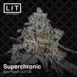 Super Chronic | Feminised, Indoor & Outdoor