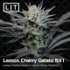 Lemon Cherry Gelato BX1 | Feminised, Indoor & Outdoor