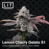 Lemon Cherry Gelato S1 | Feminised, Indoor & Outdoor