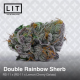 Double Rainbow Sherb  | Feminised, Indoor & Outdoor