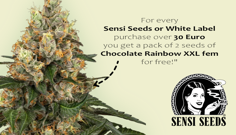 Sensi Seeds Aktion