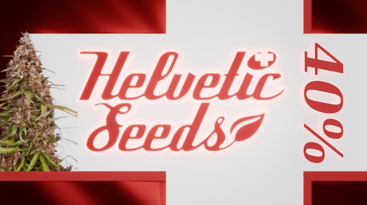 Helvetic Seeds 40% Aktion